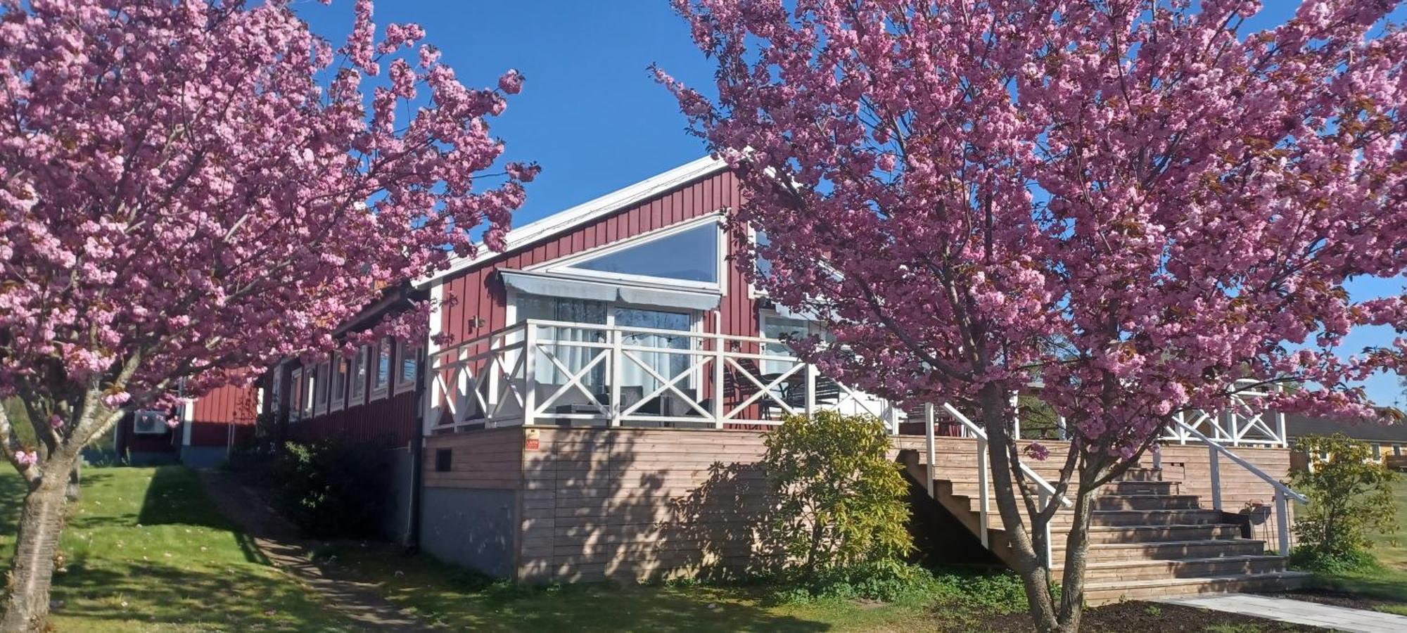 Mellbystrand Vandrarhem エクステリア 写真